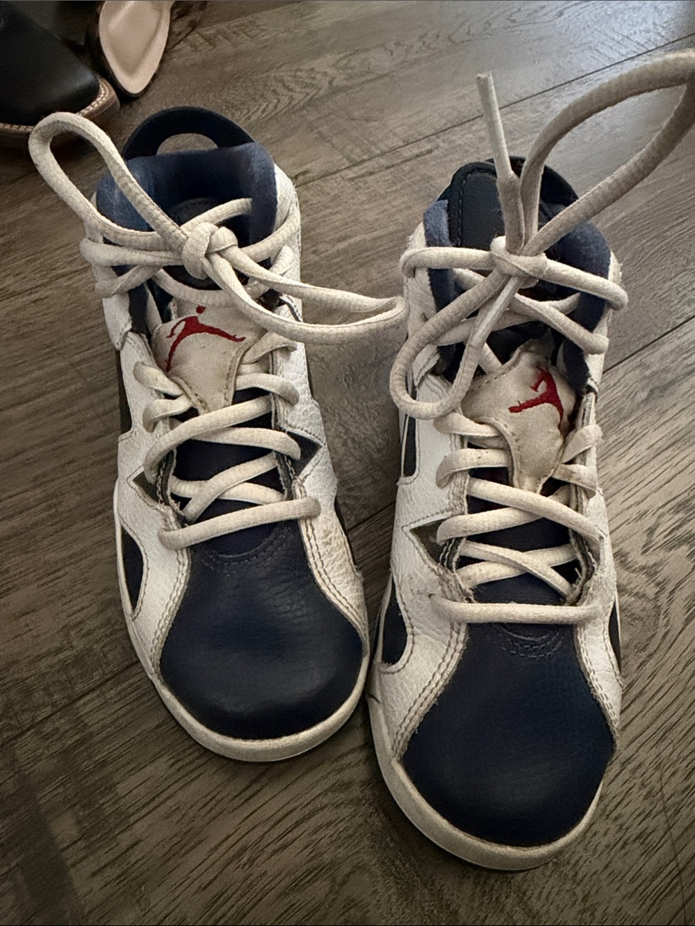 Kids Jordan 6s